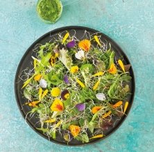 Ensalada de primavera