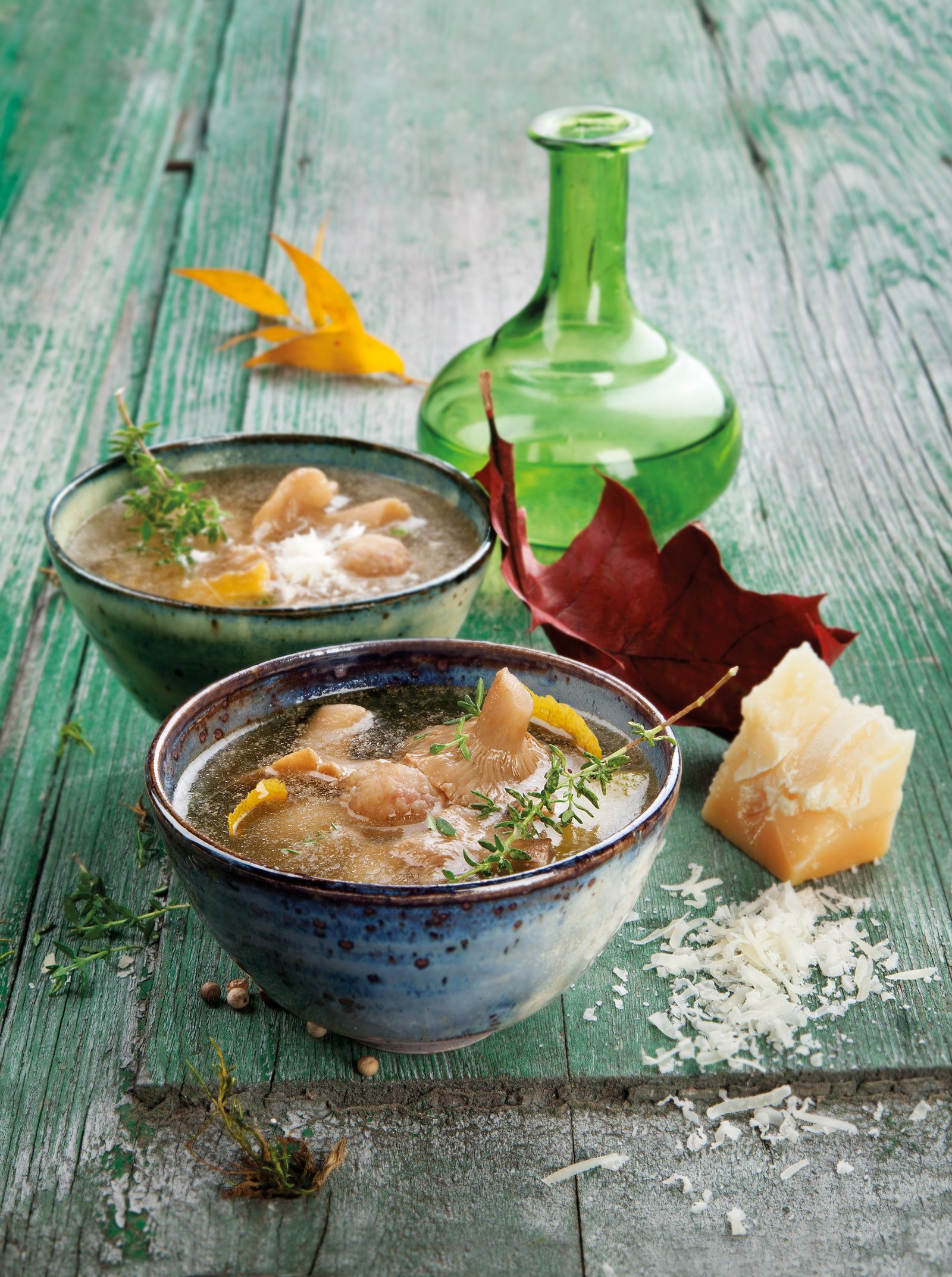 Sopa de ternera y pollo de labrador con mocosa blanca