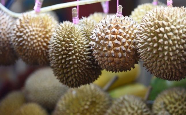 Durian Durian