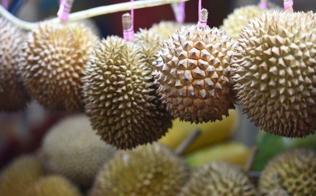 Durian