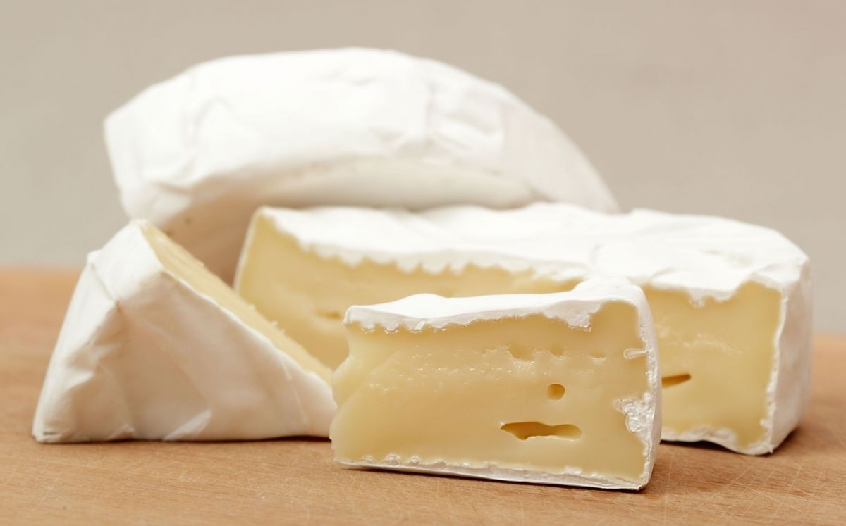 Queso brie