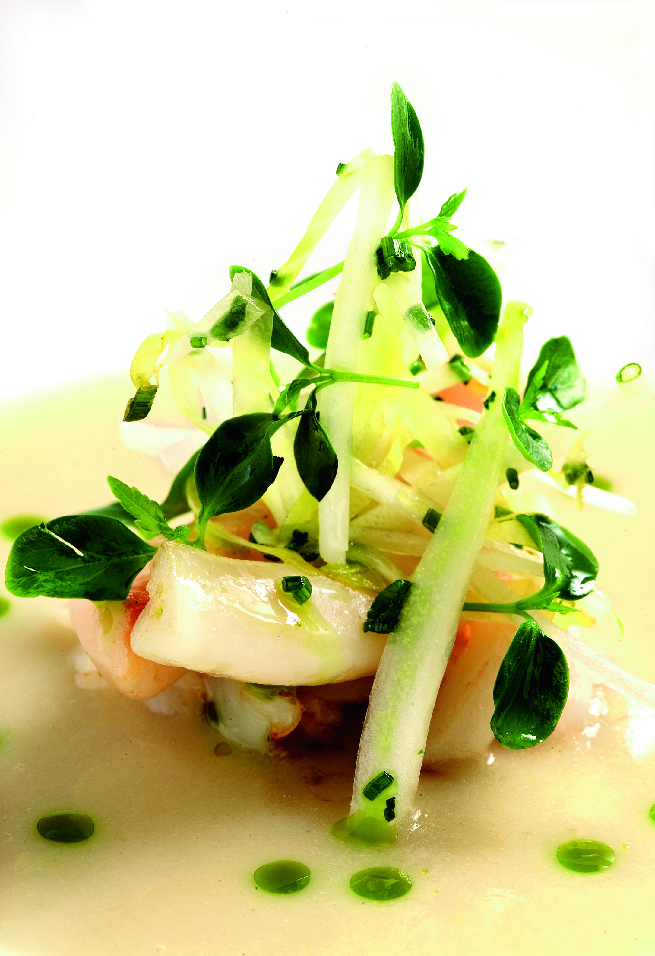 Crema d'endívies amb navalles