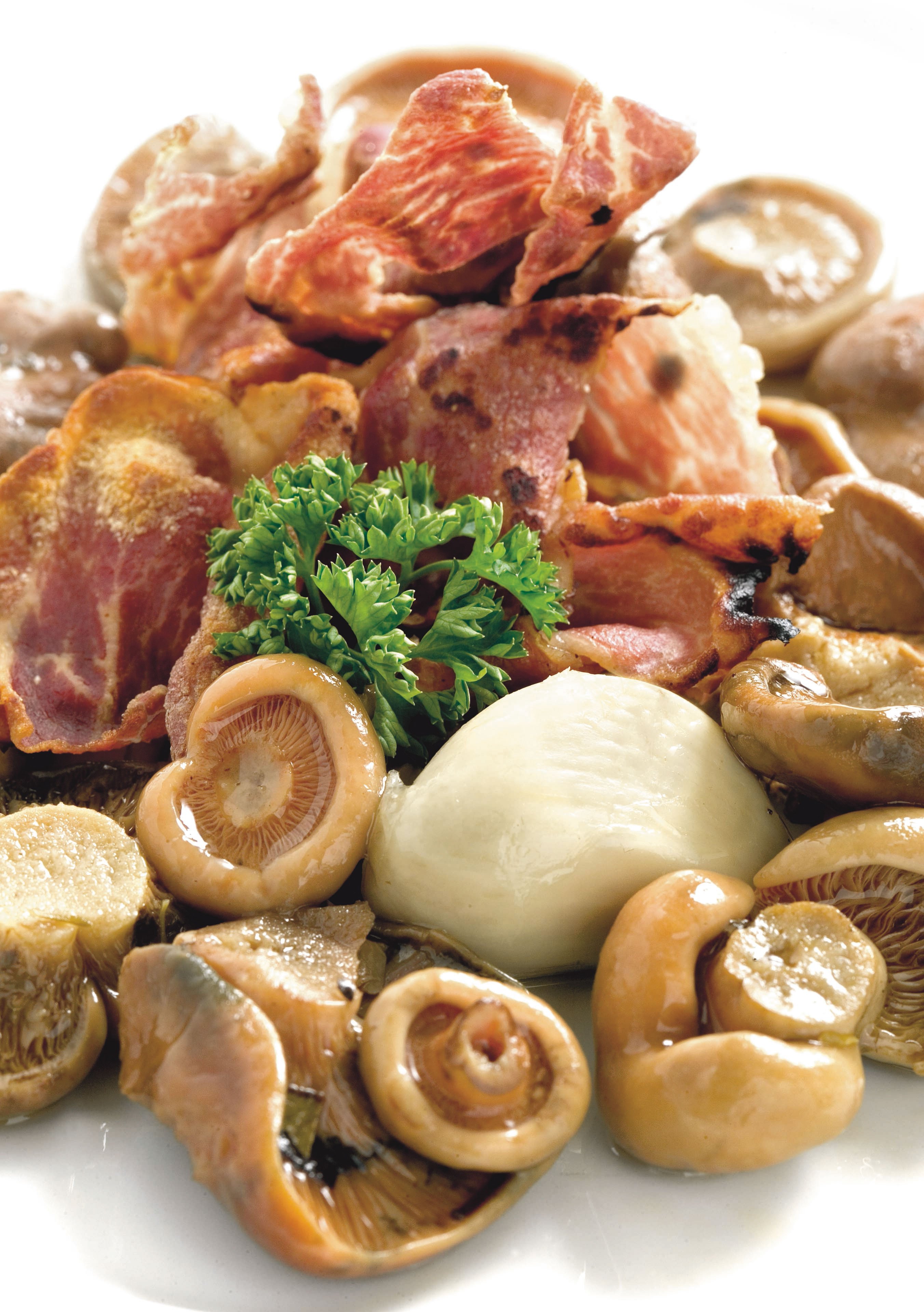 Níscalos confitados