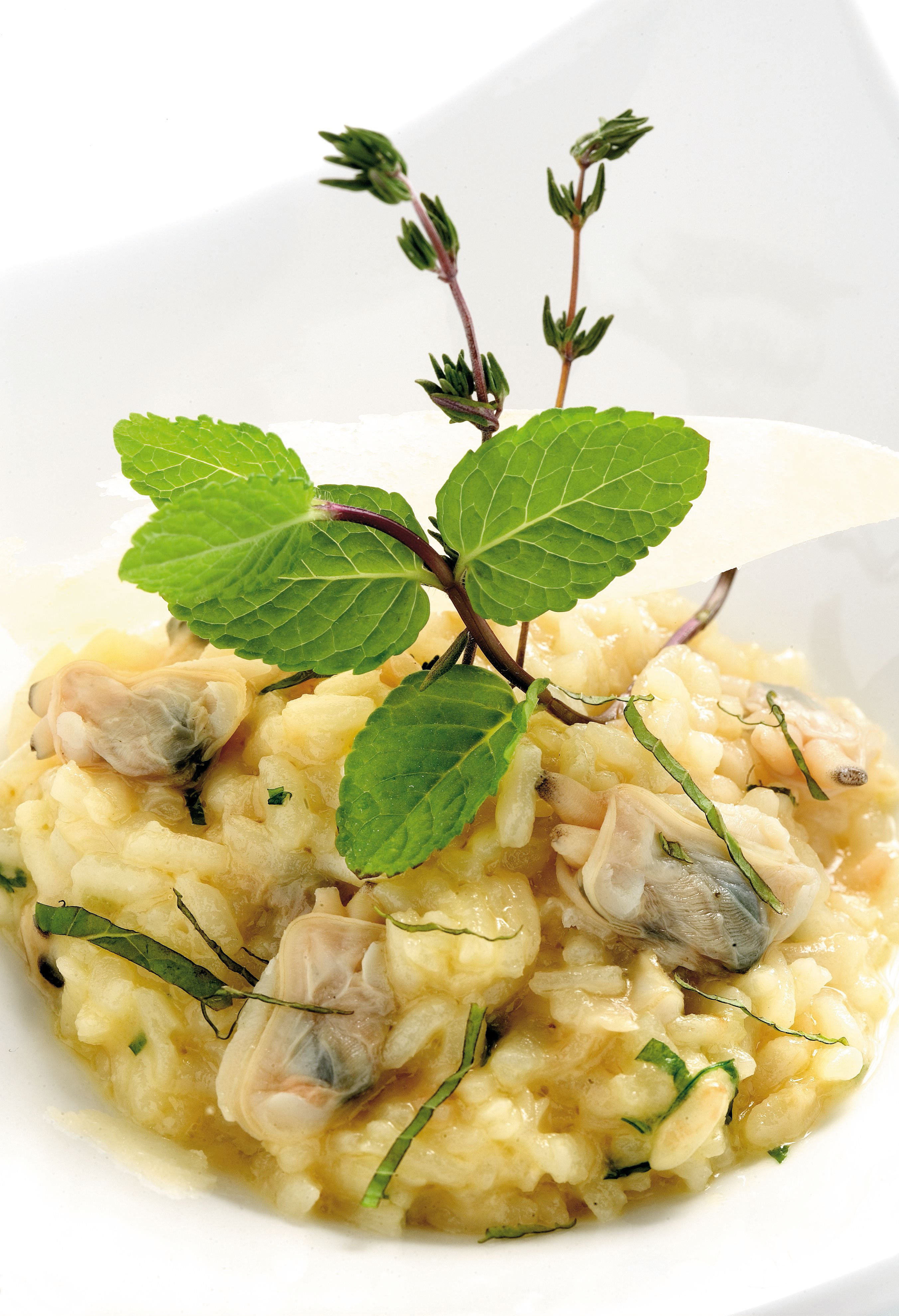 Risotto de cloïsses amb menta fresca