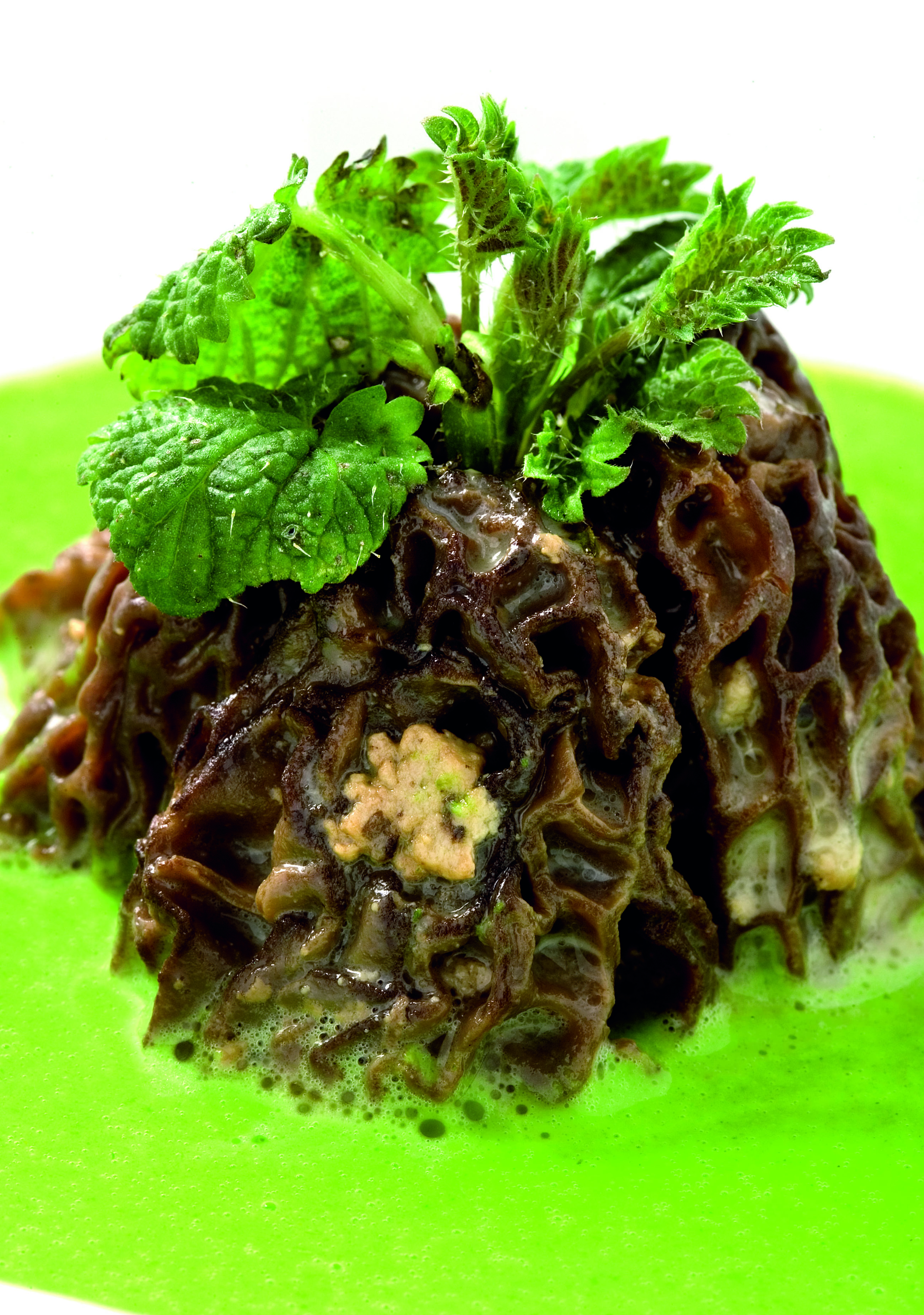 Múrgoles farcides sobre una crema d'ortigues