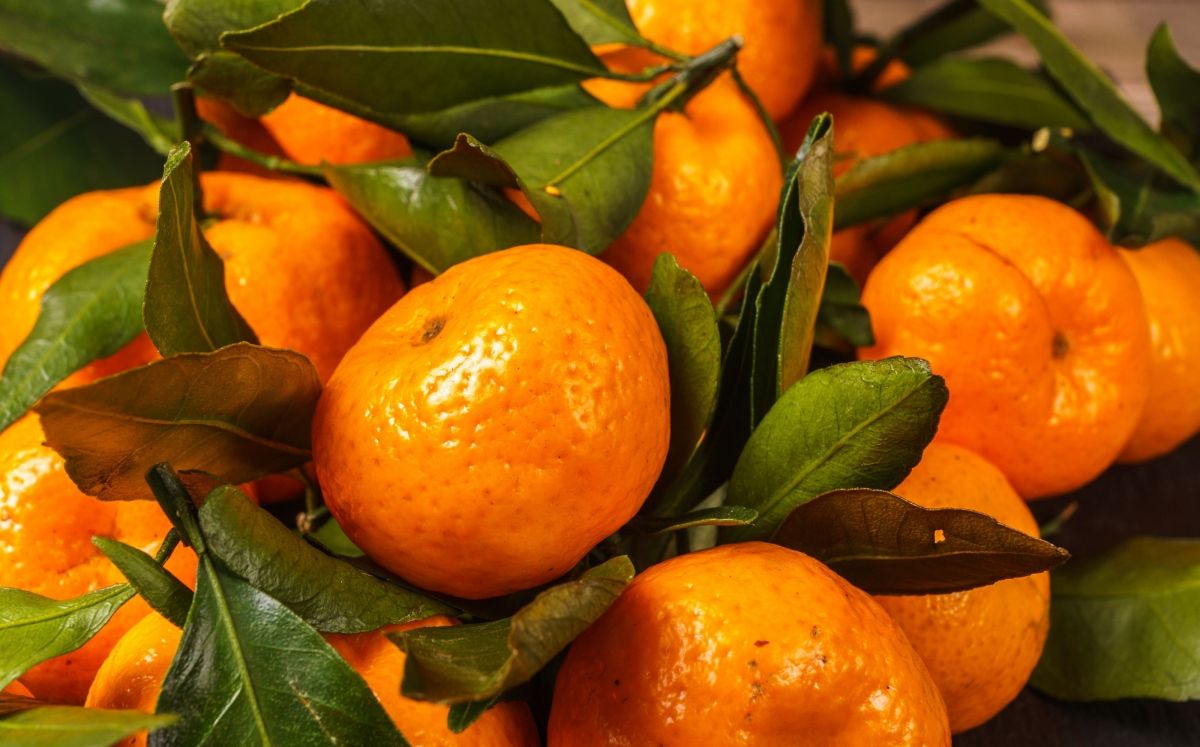 Mandarines / Thinkstock