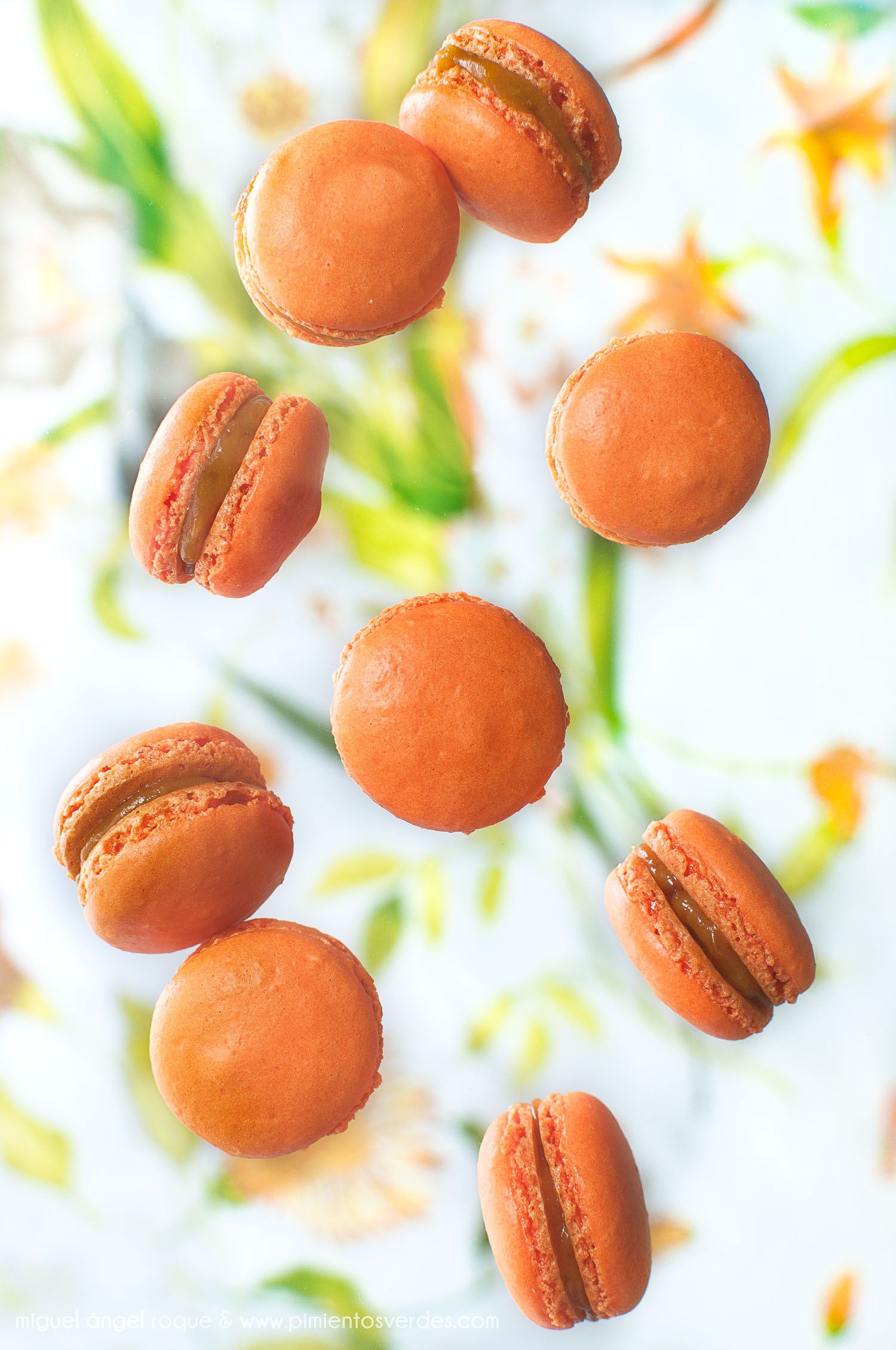 Macarons de préssec