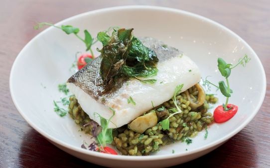 Bacalao confitado con arroz verde de albahaca