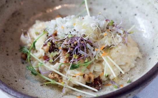 Falso risotto de bacalao