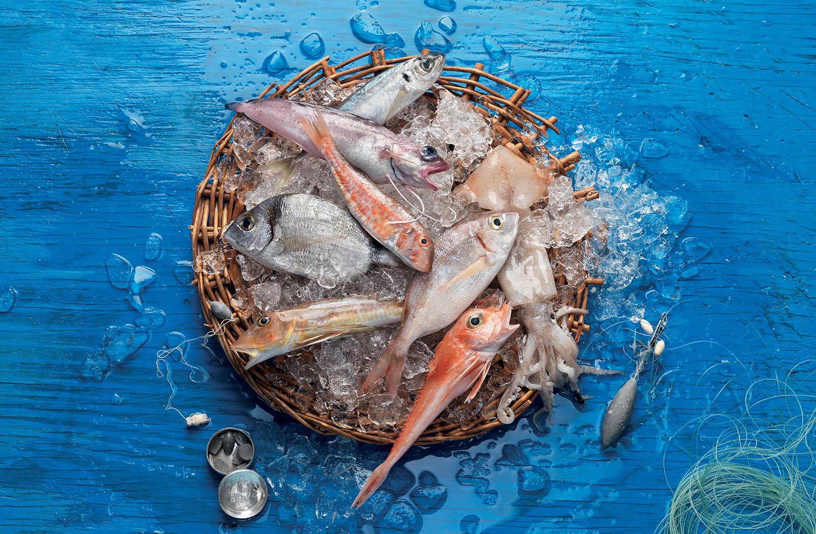 Pescado de la Llotja de Vilanova i la Geltrú