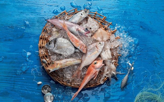 Pescado de la Llotja de Vilanova i la Geltrú