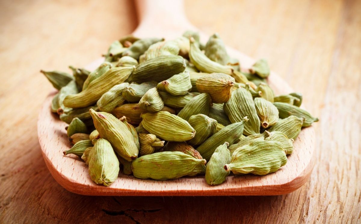 Cardamom