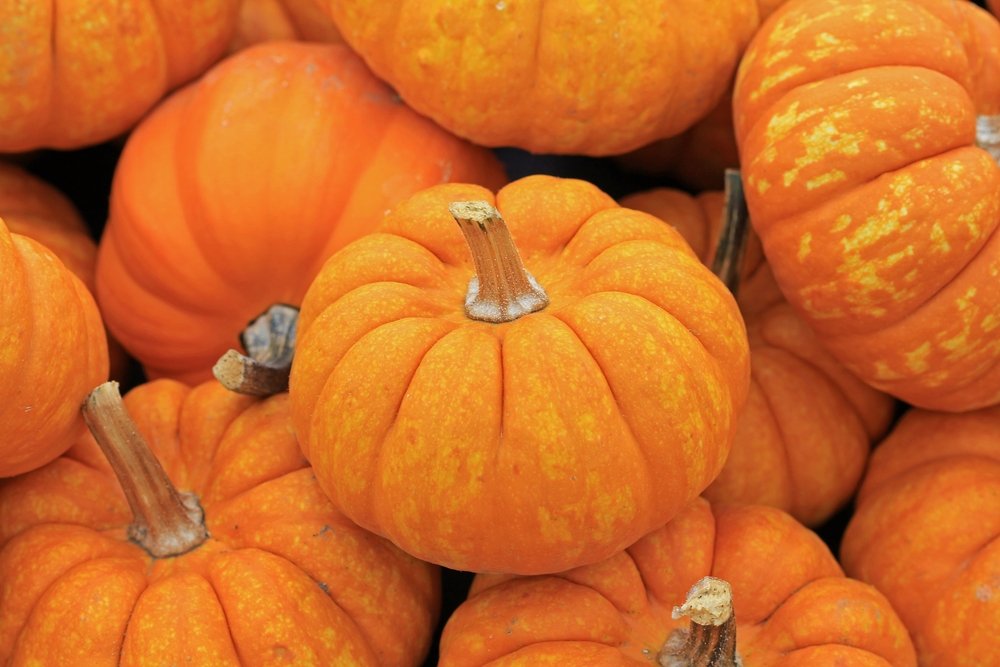 Calabaza guisada con quinoa