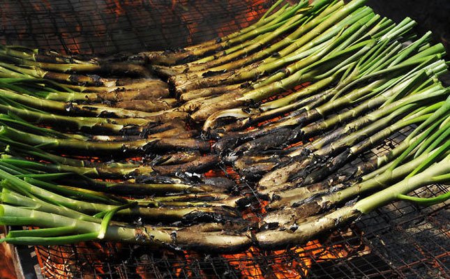 Calçots