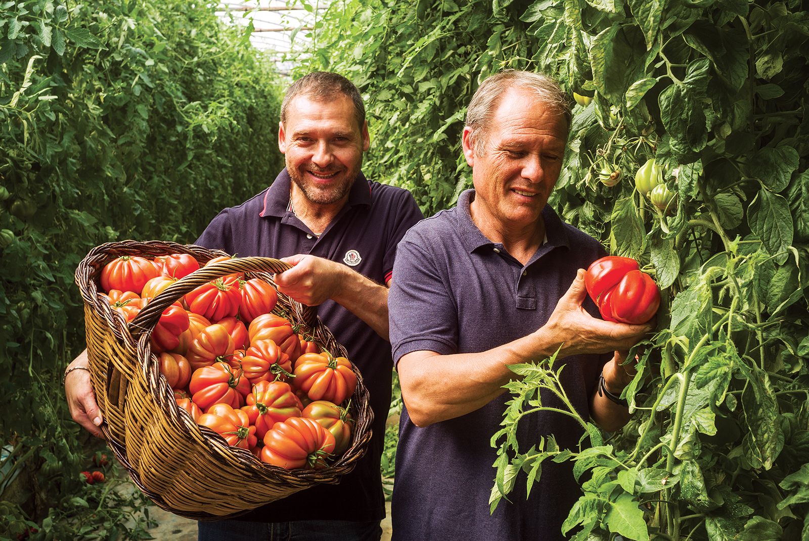 Tant de gust - Agrogust