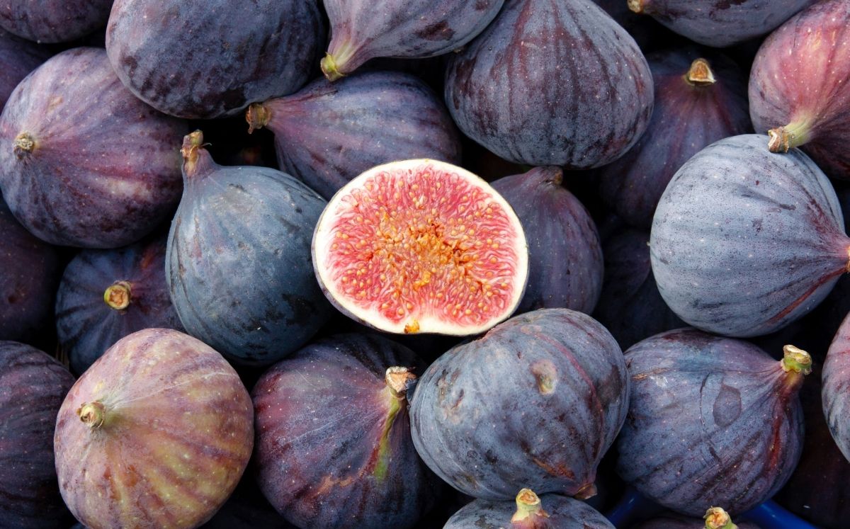 Figues