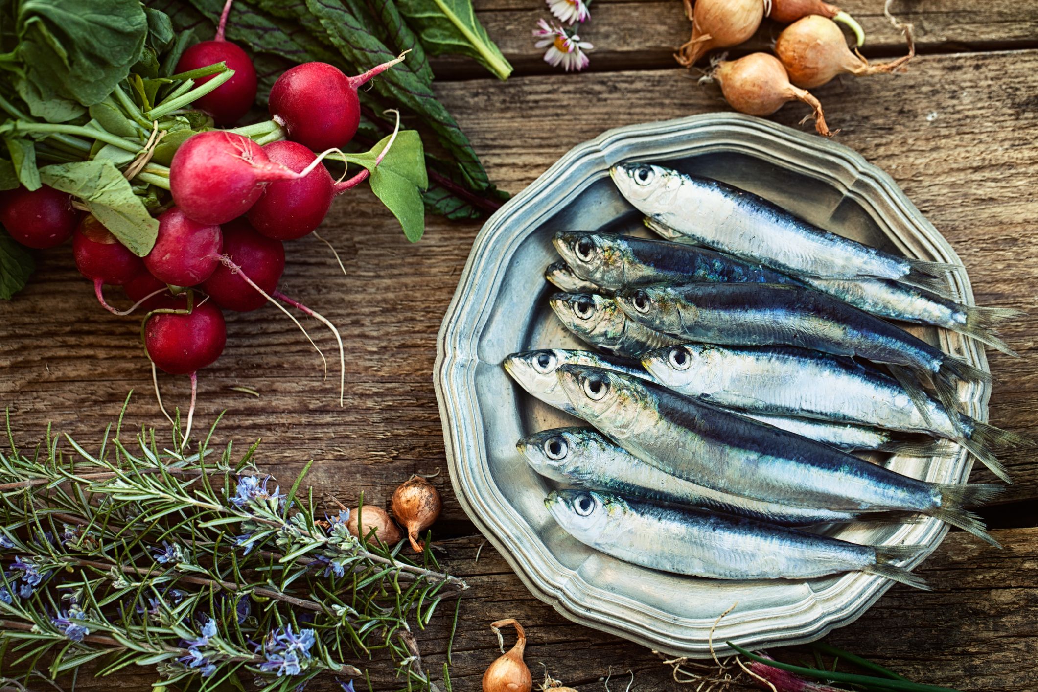 Соленая рыба ребенку. Sardalya Sardines. Сельдь Иваси скумбрия. Сардина (Иваси). Сардина Средиземноморская.