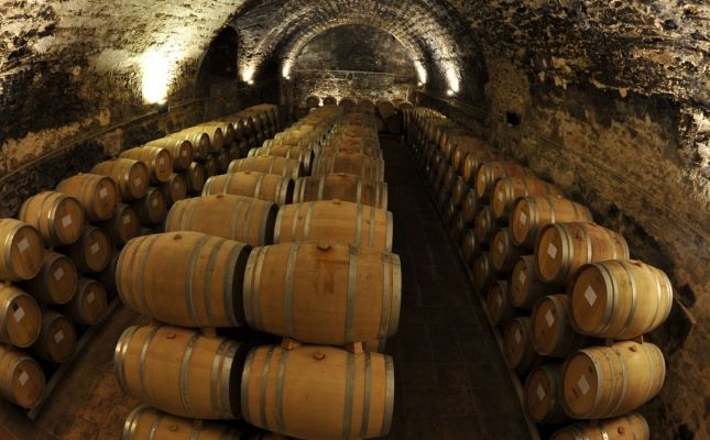 Bótes de vi en un celler de la DOQ Priorat