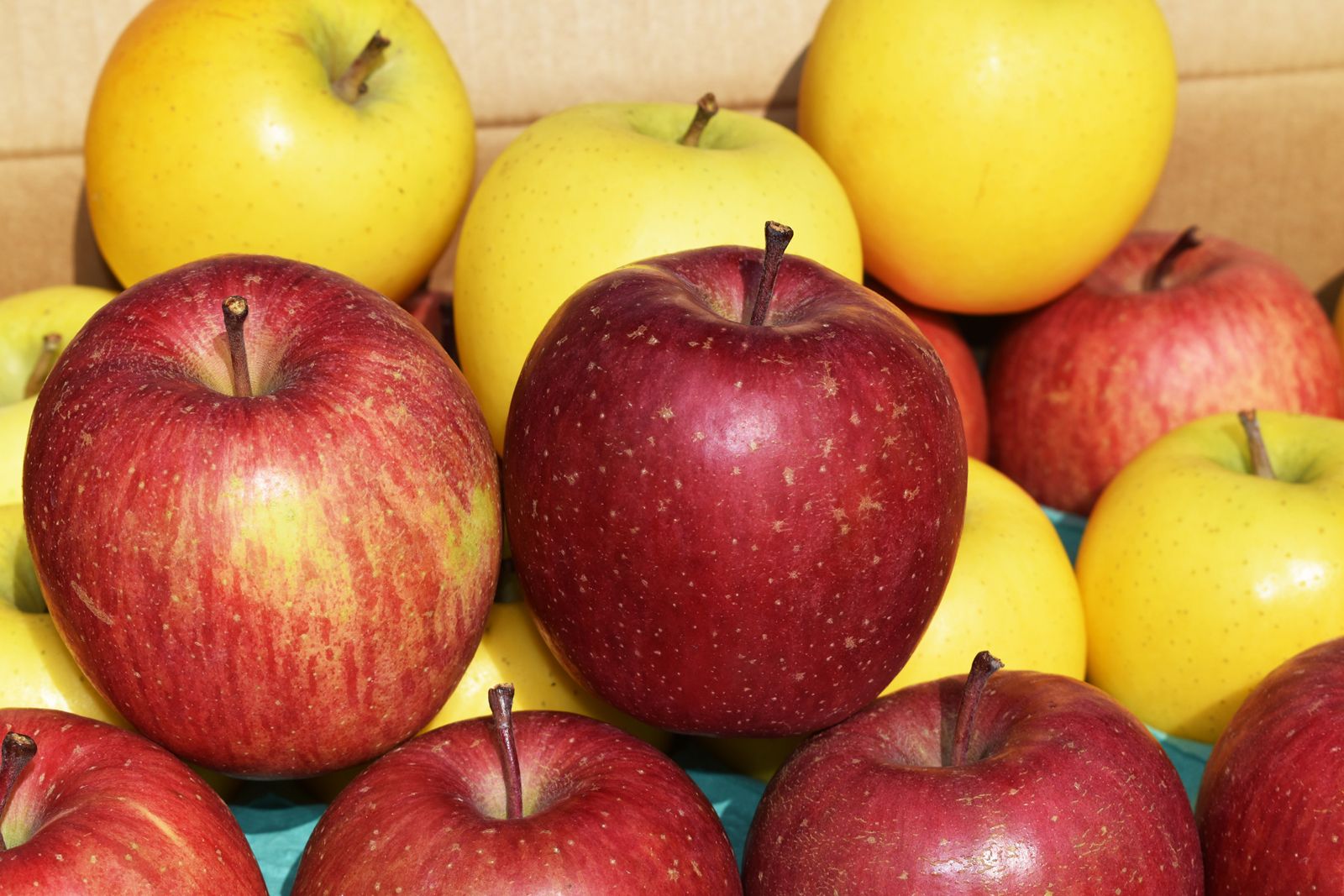 La poma Golden i Fuji