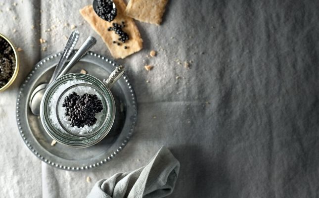 DECALEG CAVIAR ret copia DECALEG CAVIAR ret copia
