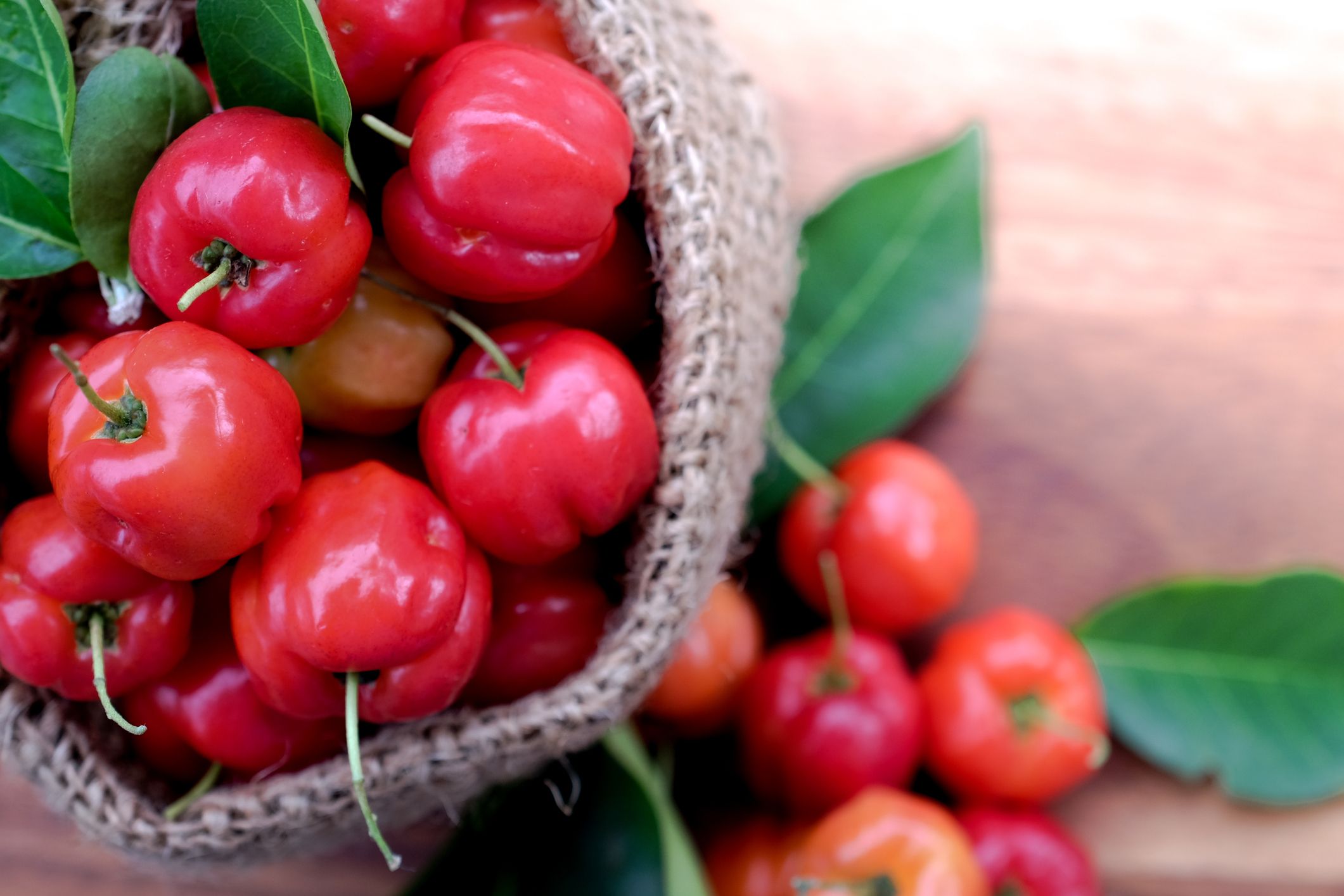 Què és l'acerola?