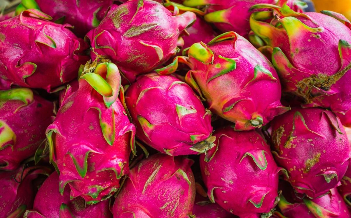 Pitahaya