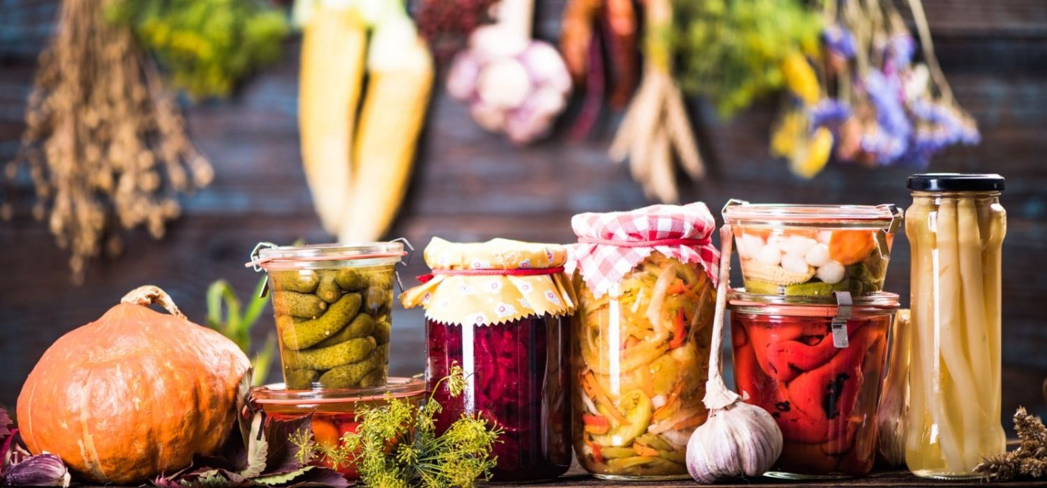 Aliments fermentats