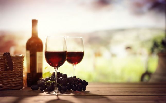 Vins i vinyes