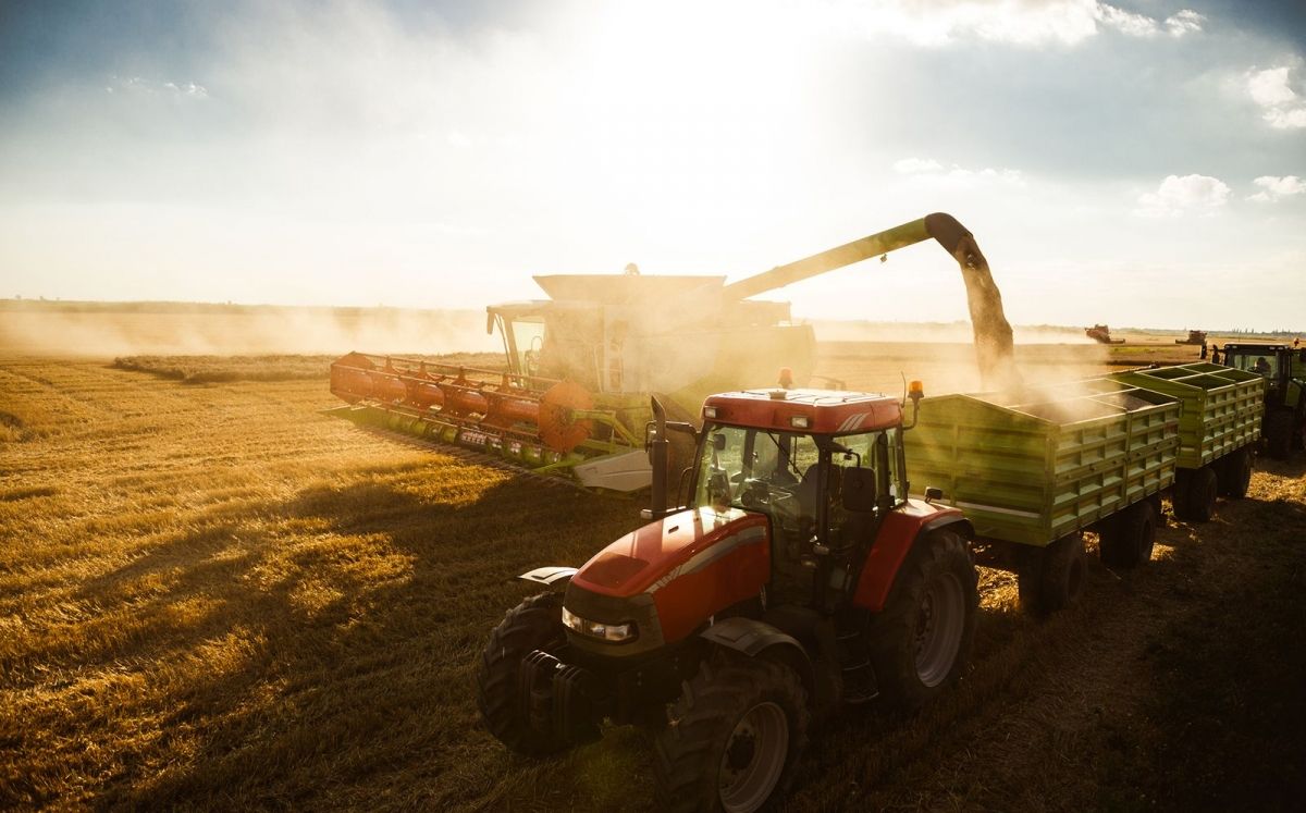 L'agricultura és un pilar fonamental d'Avià