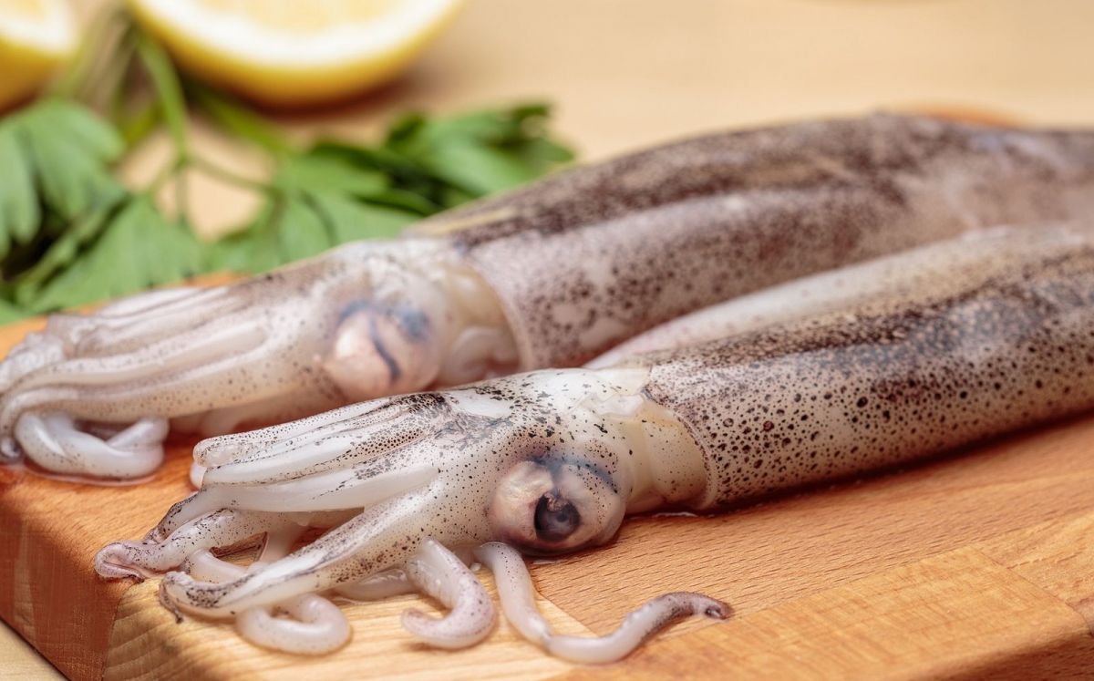 Calamars