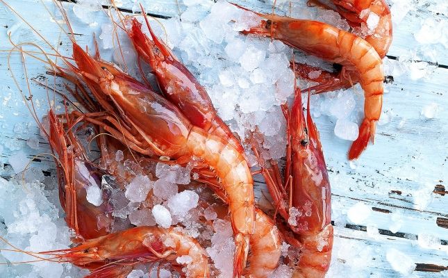 Gambes Gambes