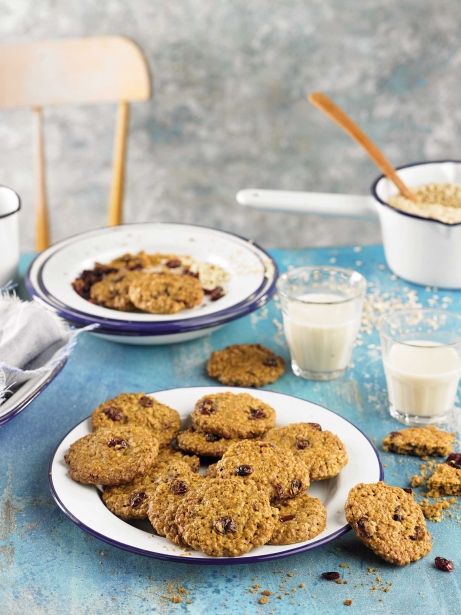 Galletas de avena con harina de espelta y arándanos rojos