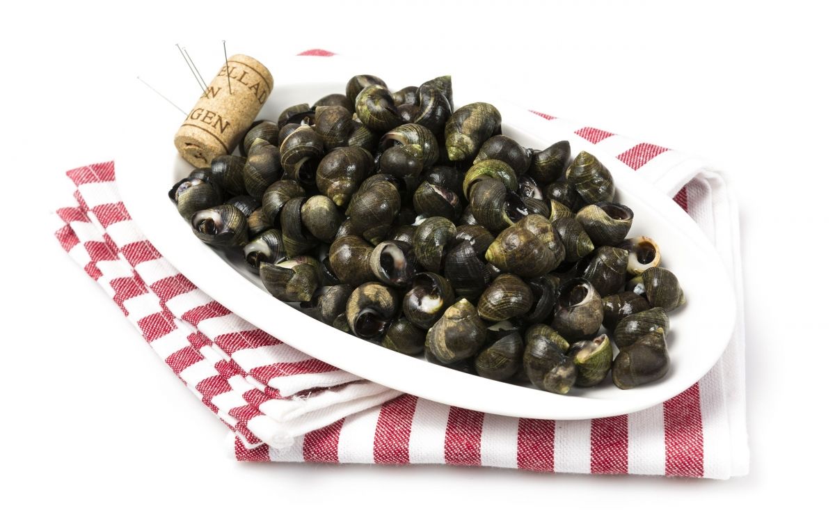 Cargolins