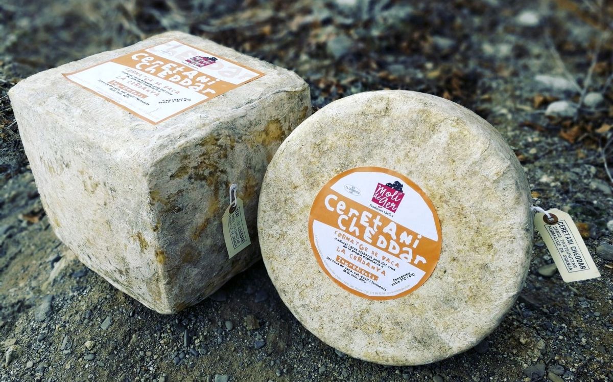 Ceretani Cheddar