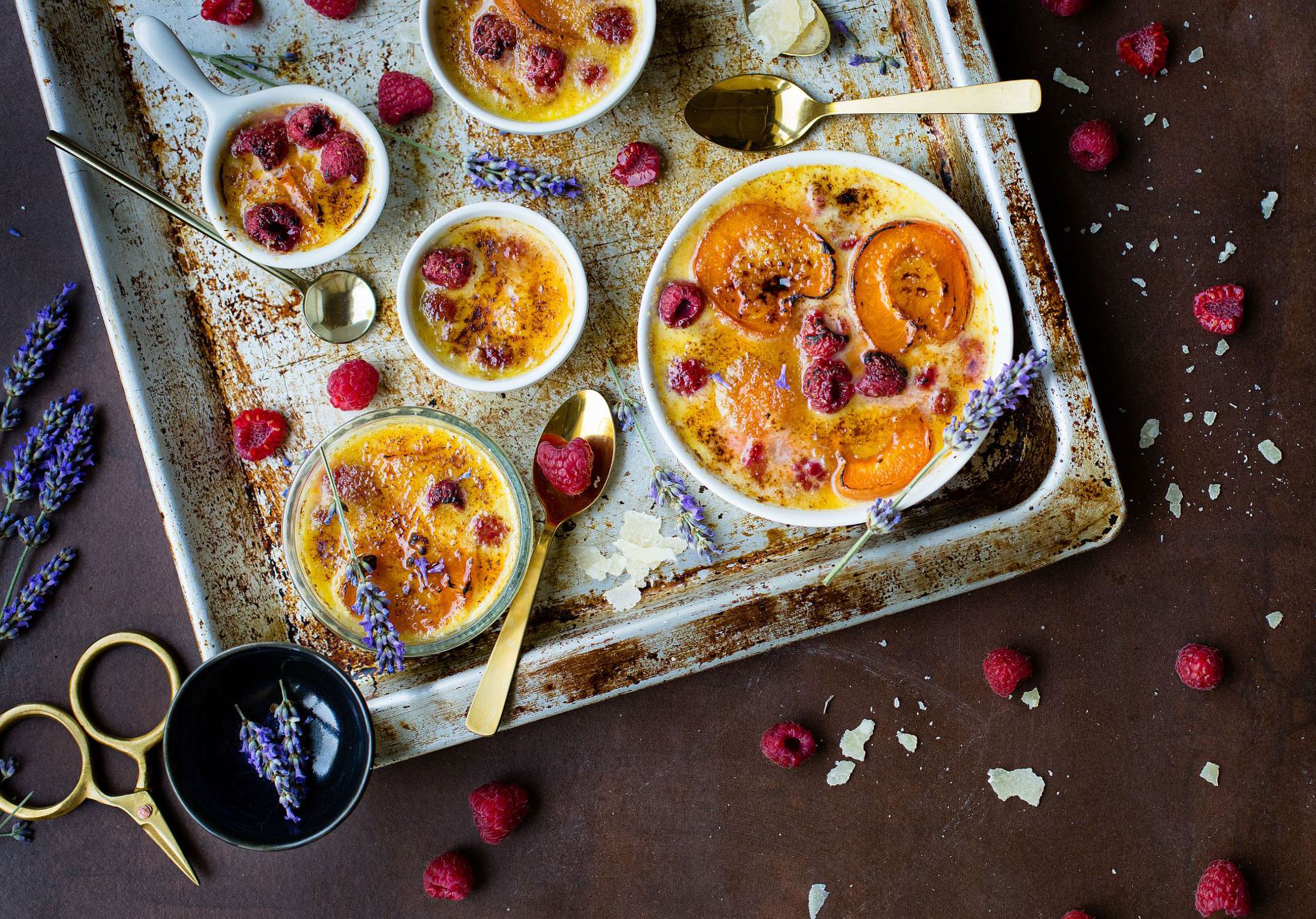 Crema d'albercoc, gerds i parmigiano reggiano