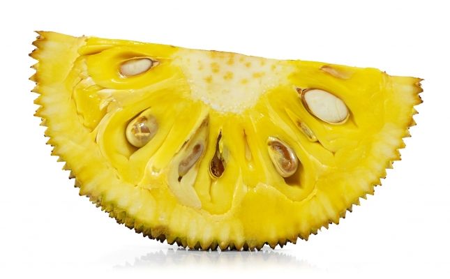 Jackfruit Jackfruit