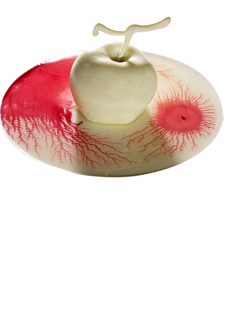 Postre de conte