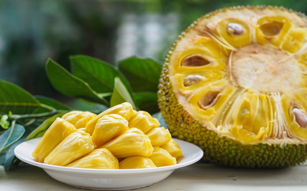 Jackfruit