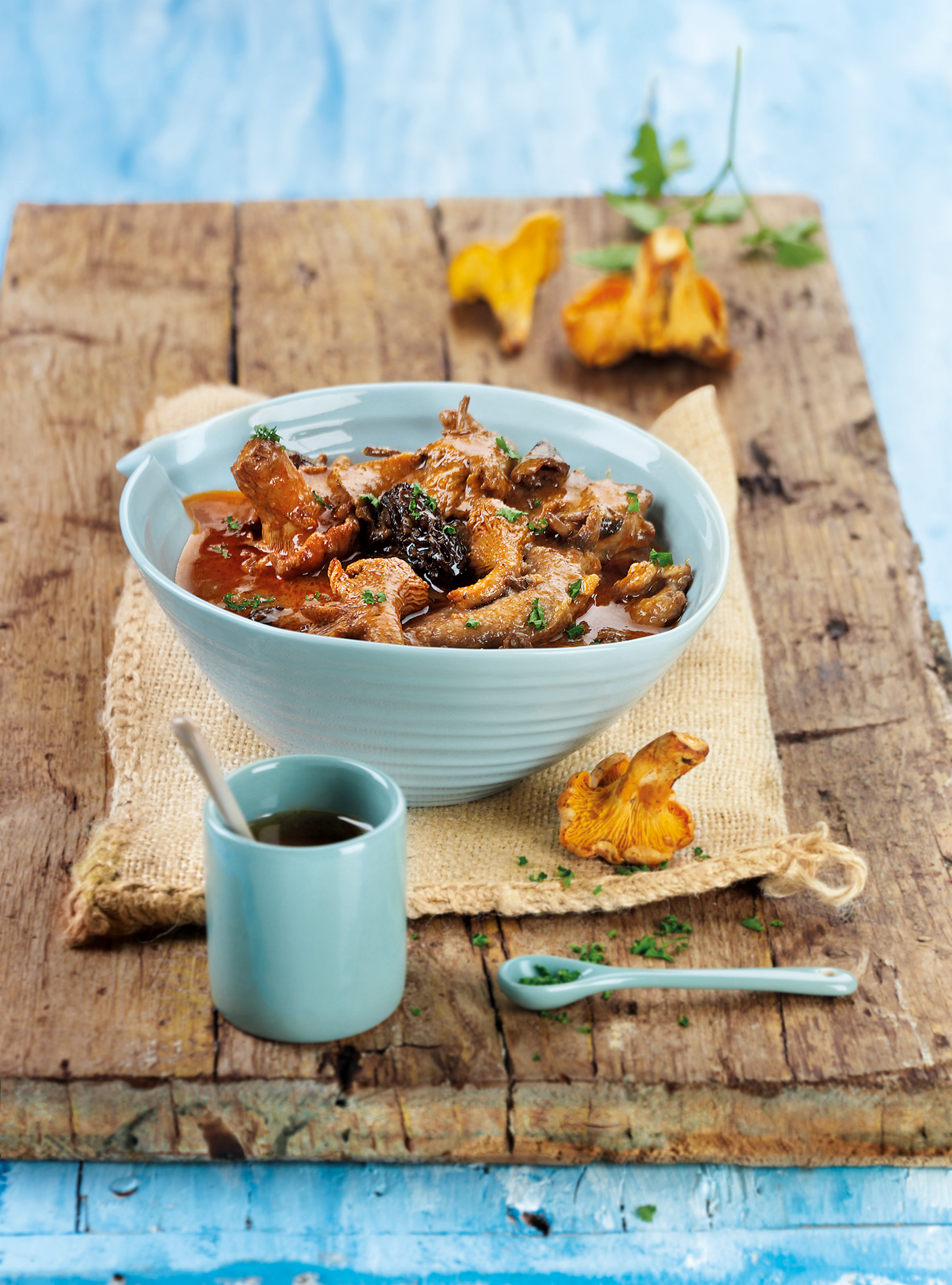 Fricandó de vedella blanca amb bolets de primavera