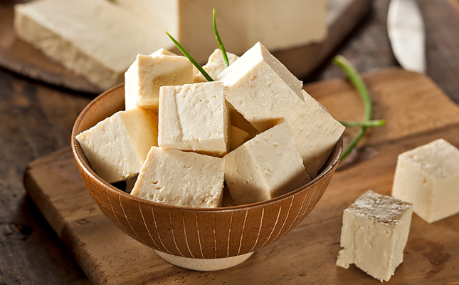 Tofu, protagonista d'un dels cursos