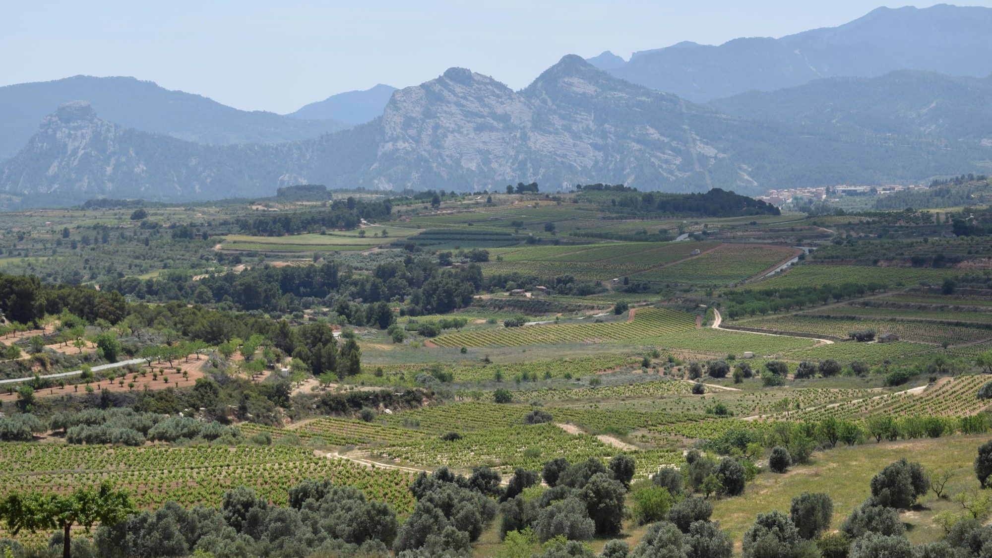 El paisatge de la Terra Alta és un dels actius destacats de la DO