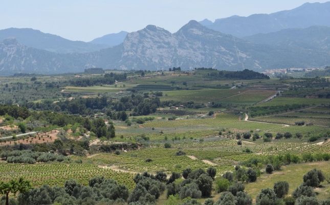 El paisatge de la Terra Alta és un dels actius destacats de la DO