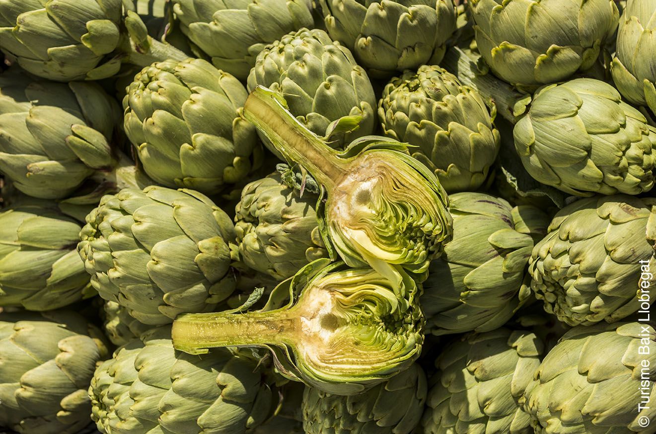 La carxofa Prat és una de les grans protagonistes del Març Gastronòmic