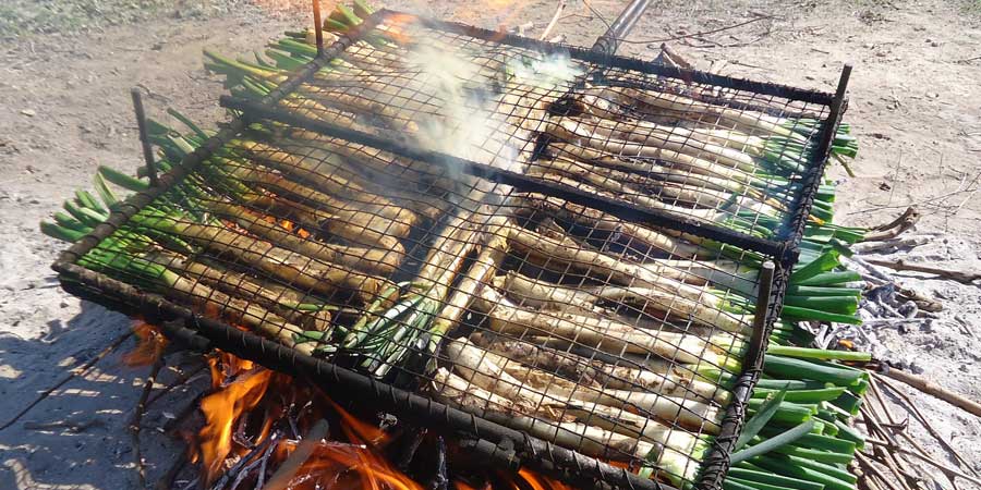 Graella per a calçots