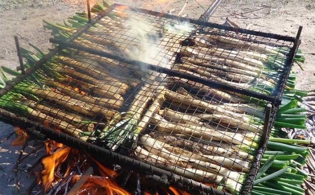 Graella per a calçots